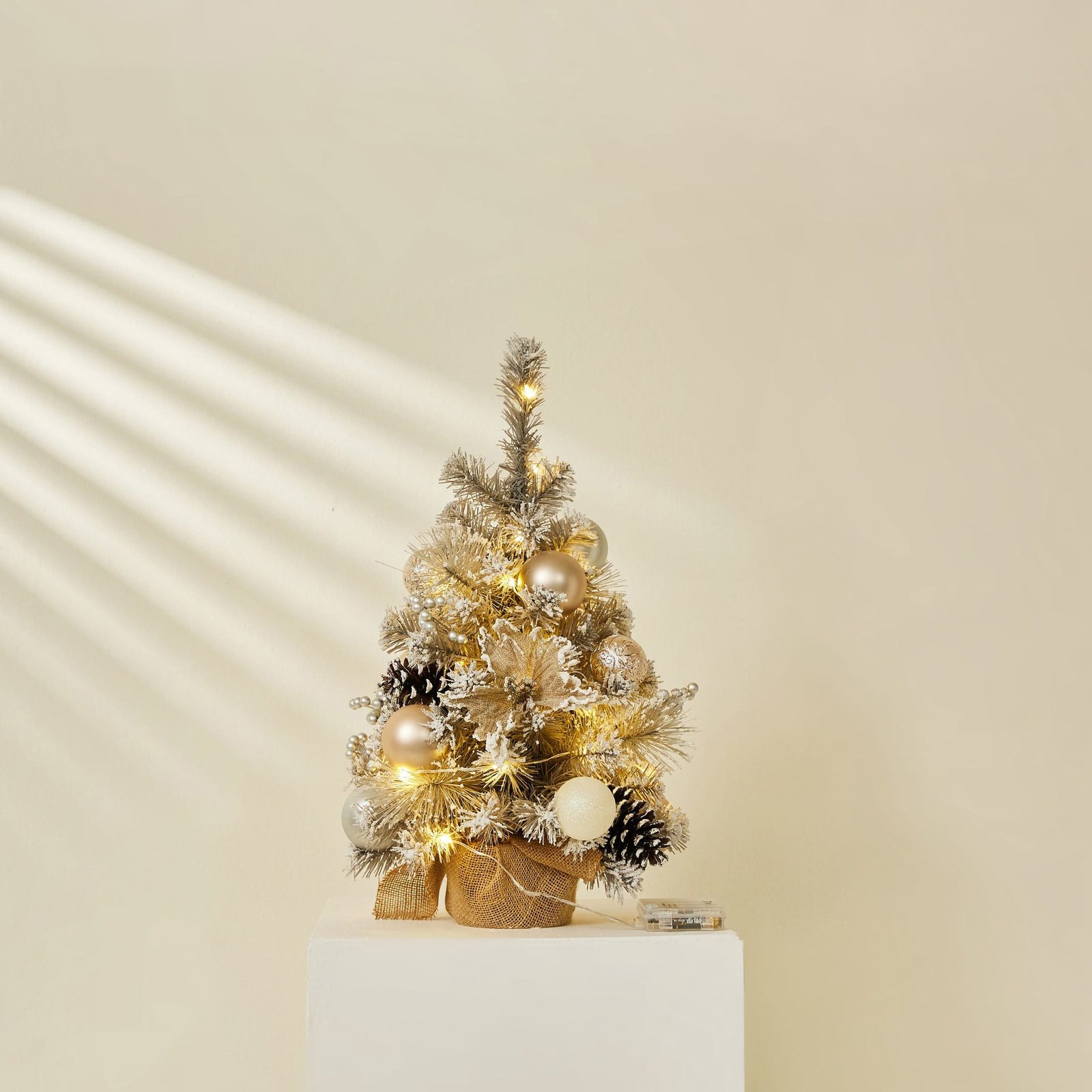 O1CN01BJYcvk1Rc2nms8s9a_!!1008782131-0-cib