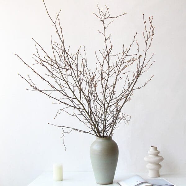 Branches De Bouleau (2 Branches)